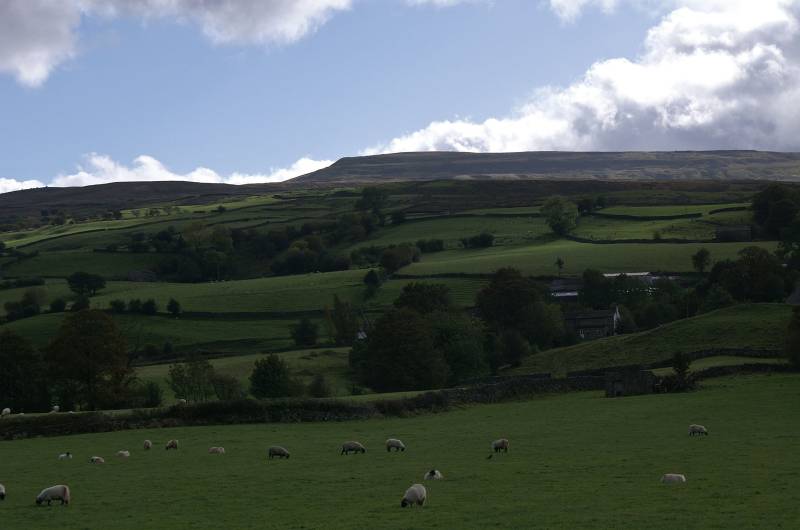 Under Combe Scar. 